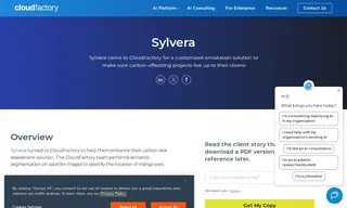 Preview of the Sylvera Case Study