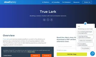 Preview of the True Lark Case Study