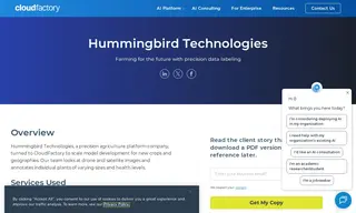 Preview of the Hummingbird Technologies Case Study