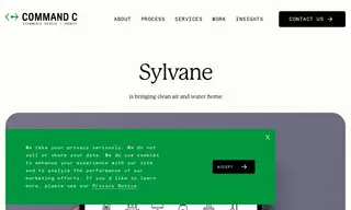 Preview of the Sylvane Case Study
