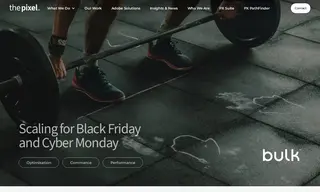 Preview of the Bulk Case Study