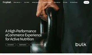 Preview of the Bulk Case Study