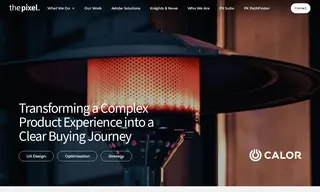 Preview of the Calor Gas Case Study
