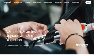 Preview of the Spectrum Brands Case Study