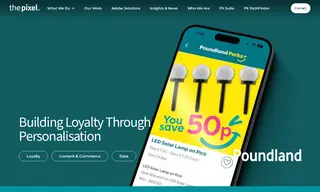 Preview of the Poundland Case Study