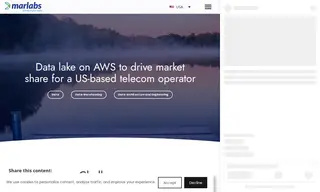 Preview of the Confidential Client Case Study