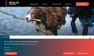 Preview of the The Banfield Foundation Case Study