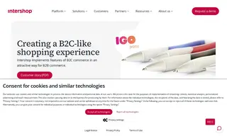 Preview of the IGO Promo Case Study