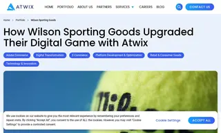 Preview of the Wilson Sporting Goods Case Study