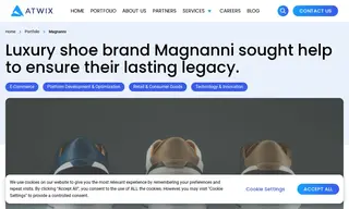 Preview of the Magnanni Case Study