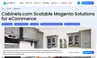 Preview of the Cabinets.com Case Study