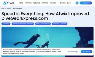 Preview of the Dive Gear Express Case Study