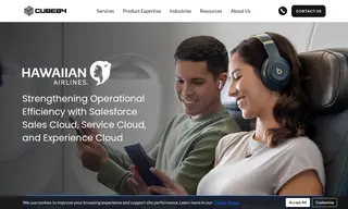 Preview of the Hawaiian Airlines Case Study