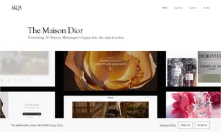 Preview of the Dior Case Study