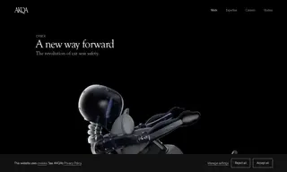 Preview of the Cybex Case Study