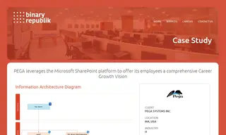 Preview of the PEGA Systems Case Study