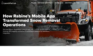 Preview of the Rabine Group Case Study