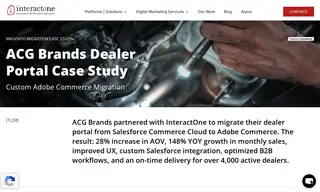 Preview of the ACG Brands Case Study