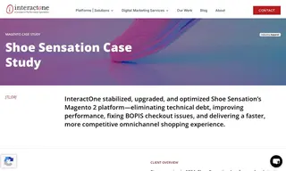 Preview of the Shoe Sensation Case Study