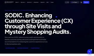 Preview of the Sodic Case Study