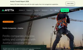 Preview of the Petillo Companies Case Study