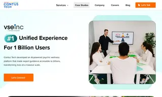 Preview of the VSE Inc Case Study