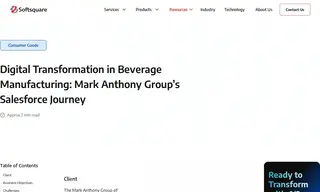 Preview of the Mark Anthony Group Case Study