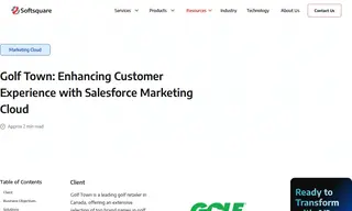 Preview of the Golf Town Case Study