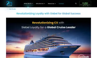 Preview of the Cruise Industry Client Case Study