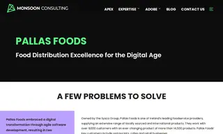 Preview of the Pallas Foods Case Study