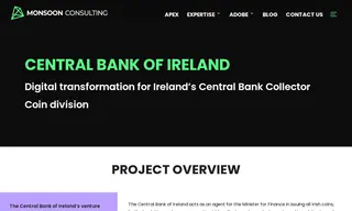 Preview of the Central Bank of Ireland Case Study