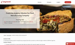 Preview of the Food Manufacturing Company Case Study