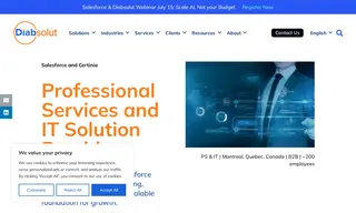 Preview of the PS and IT Solution Provider Case Study