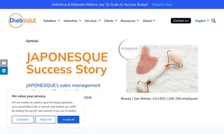 Preview of the Japonesque Case Study