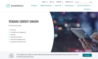 Preview of the Texans Credit Union Case Study