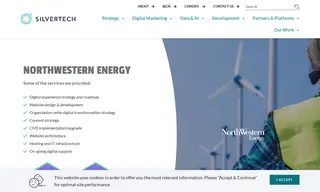 Preview of the Northwestern Energy Case Study
