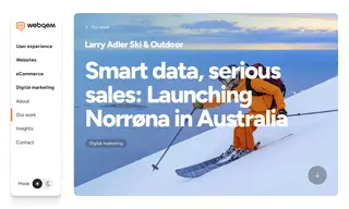 Preview of the Larry Adler Ski & Outdoor Case Study