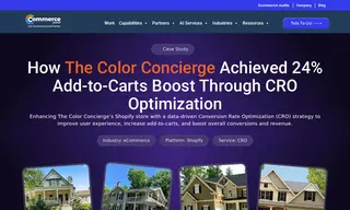 Preview of the The Color Concierge Case Study