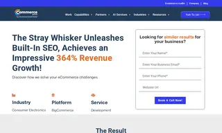 Preview of the The Stray Whisker Case Study