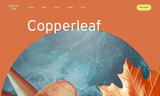 Preview of the Copperleaf Case Study