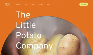 Preview of the The Little Potato Company Case Study