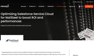 Preview of the NatSteel Case Study