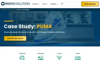 Preview of the Puma Case Study