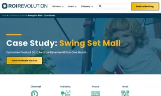 Preview of the Swing Set Mall Case Study