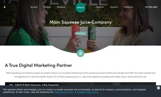 Preview of the Main Squeeze Juice Company Case Study