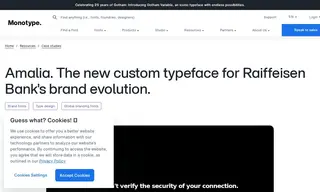 Preview of the Raiffeisen Bank International Case Study