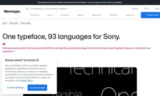 Preview of the Sony Case Study