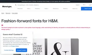 Preview of the H&M Case Study