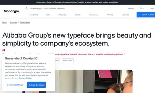Preview of the Alibaba Group Case Study
