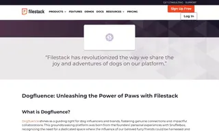Preview of the Dogfluence Case Study